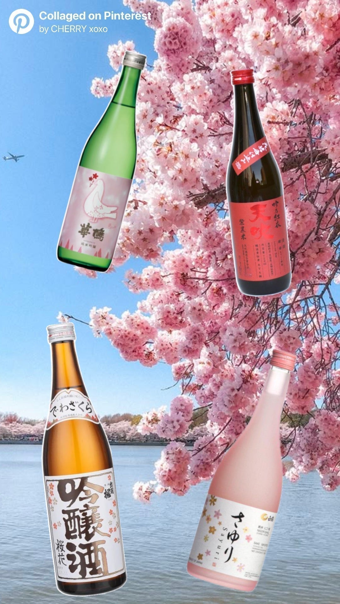 March 2026 Sake Picks